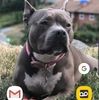 karenriley462